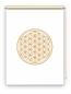 Preview: Rollo Blume des Lebens blau blanco - Sichtschutz Extartiqe